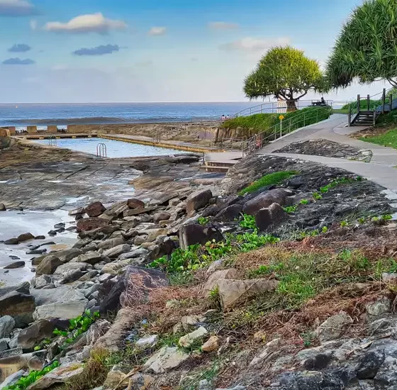 South-pacific Cruises